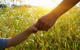 Child Custody and visitation rights in California