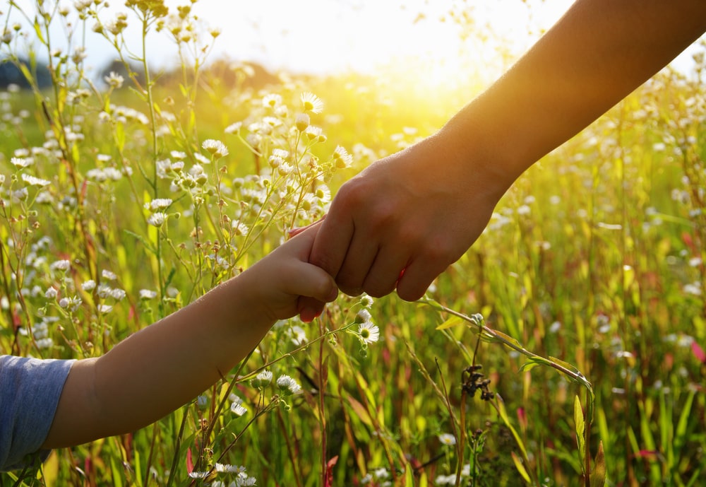 Child Custody and visitation rights in California